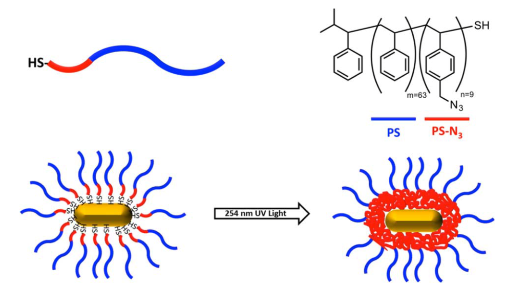 Retardation of Shape Change of Au Nanorods Using Photo-cross-linkable Ligands