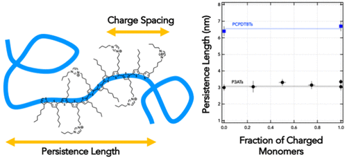 Absence of Electrostatic Rigidity in Conjugated Polyelectrolytes with Pendant Charges