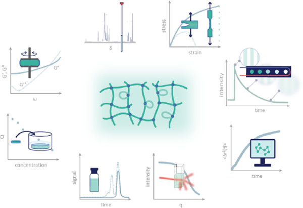 Molecular Characterization of Polymer Networks