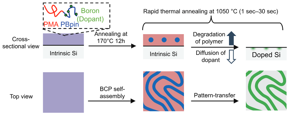 Discrete, Shallow Doping of Semiconductors via Cylinder-Forming Block Copolymer Self-Assembly